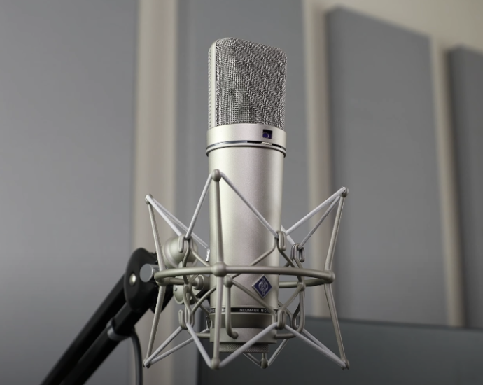 Photo of a silver Neumann U87 microphone on a silver stand